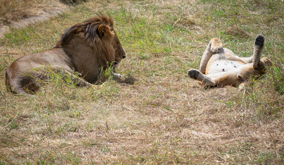 Simiyu is an administrative region of Tanzania. It was created in March 2012, being until then part of the Shinyanga Region. Its capital is the city of Bariadi.