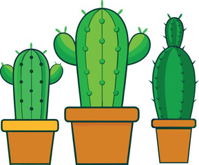 three Green Cactus in Pot 