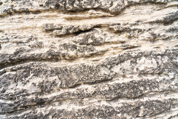 Natural rock formation displays intricate textures and patterns created by erosion over time in a coastal area