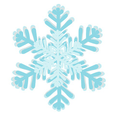 Fototapeta premium Snowflake 
