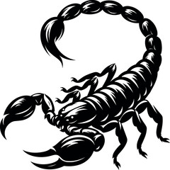 Scorpion Vector Black Silhouette Cricut Design for T-Shirt