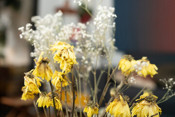 dead nature of yellow flower decoration