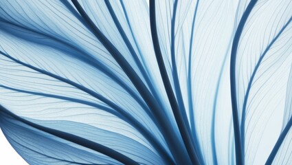 Obraz premium abstract blue floral petal veins background.