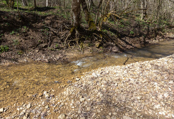 the river in the spring of the year, a slow flow along a shallow riverbed