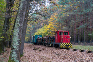 A production train of the Csömödér narrow gauge system transporting wood from the forest to the...