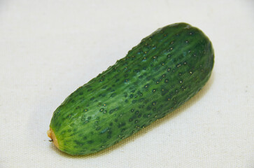 Cooking tasty healthy food