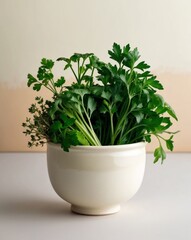Fototapeta premium Fresh green herbs in ceramic bowl on light background.