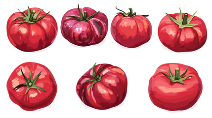 Vector clipart illustration set of rustic heirloom tomatoes isolated flat tomato on a white background