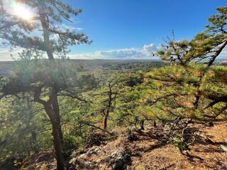 View of a valley in summer