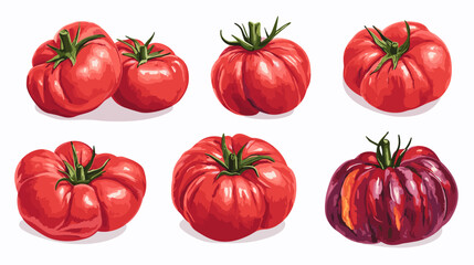 Vector clipart illustration set of rustic heirloom tomatoes isolated flat tomato on a white background