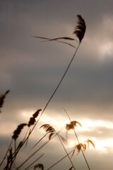 sunset over the lake