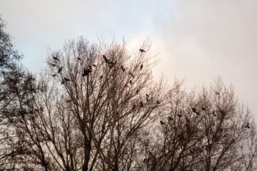 sunset over the lake