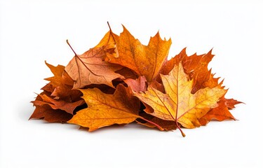 Autumn Leaves Pile - A Colorful Fall Scene