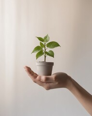 Business Growth Concept with Hand Holding Plant.