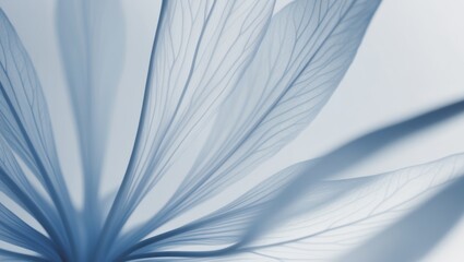 Fototapeta premium abstract blue floral petal veins background.