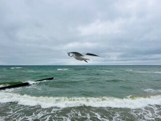 Cloudy seascape, seashore waves, natural sea horizon, cloudy sky