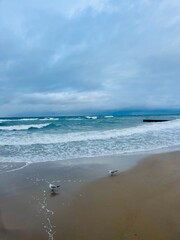 Cloudy seascape, seashore waves, natural sea horizon, cloudy sky