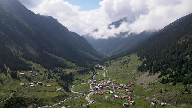 Footage of mountain villages and plateaus located among trees in pine forests.