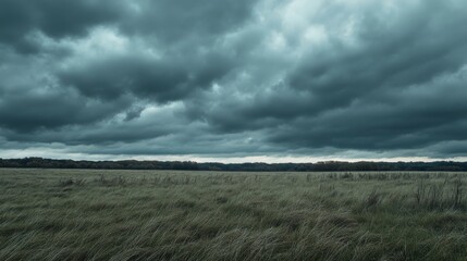Obraz premium Overcast Sky with Dark Threatening Clouds Bringing Rain Over Gloomy Landscape in a Remote Area Surrounded by Tall Grass and Dense Forest in the Background