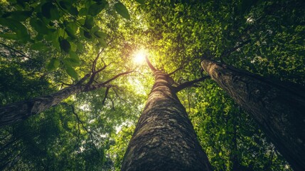 Environmental conservation and wildlife protection, Reflecting biodiversity preservation, photography style