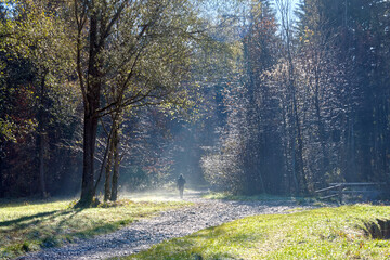 Man walking in the natural park on a hazy day in the fall
