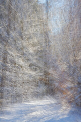 ICM picture of snowfall in the forest