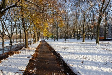 A walking path in the park, a lawn covered with a thin layer of first snow, trees without leaves, early winter