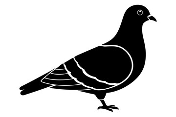 pigeon silhouette black icon vector art illustration