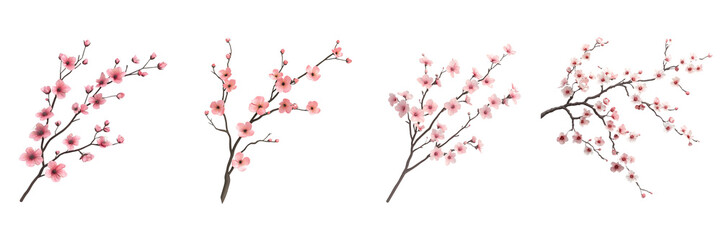 Obraz premium Blooming cherry blossoms celebrating wealth and fortune in the year of abundance nature's tranquil environment perspective