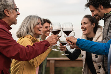 Happy multigenerational friends toasting wine glasses outdoors with authentic laughter sharing...