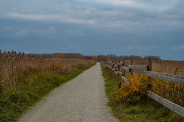 Fototapeta premium A narrow gravel path winds through the scene, bordered by wooden fencing on the right and a mix of grass and sparse vegetation on the left. Autumn landscape at Paljassaare Peninsula, Tallinn, Estonia.
