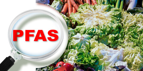 Dangerous PFAS, PFOS, PFOA PFNA e PFHxS synthetic substances in fruit and vegetable - Contamination alert with magnifying glass