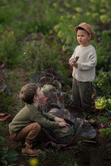 two little boys helping their parents on a farm in a cabbage field