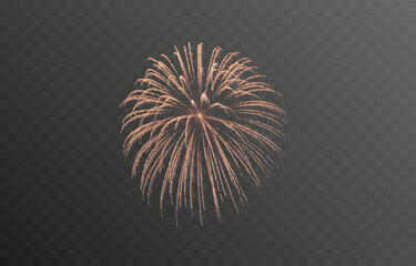 Vector fireworks. Multicolored fireworks on isolated transparent background. Fireworks png. Holiday fireworks. Festive background.