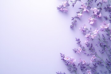 Soft Lavender Floral Arrangement on Pastel Background