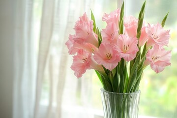 Delicate Pink Gladiolus Blooms in a Sunny Window