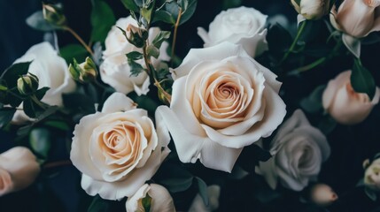 Elegant Cream Roses Bouquet CloseUp Floral Photography