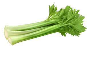 Fototapeta premium fresh green celery