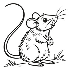 Collection of Rabbit Line Art Vector Illustrations