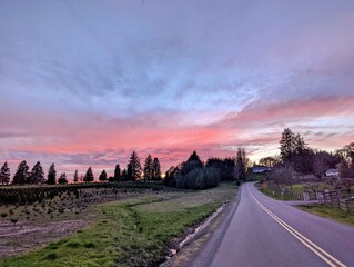 Obraz premium sunset over the road