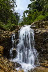 waterfall in a forest