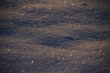 Fresh glittery snow illuminated by the morning sun
