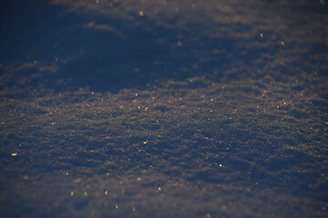 fresh snow glistening in the morning sun