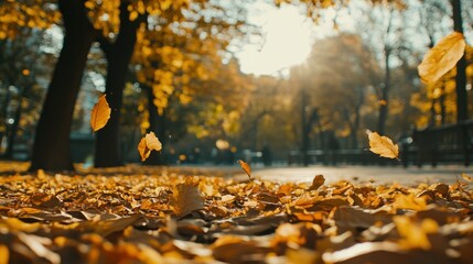 Golden Leaves Falling in a Sunny Autumn Park