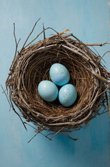 Obraz premium Birds nest, generative AI