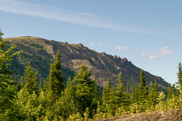 landscape in the summer