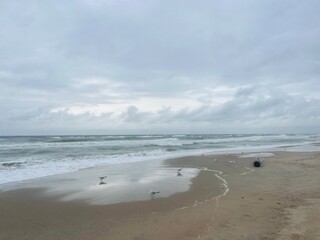 cloudy seascape, sandy shore, empty wild beach, clouds and waves