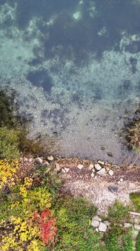 Stunning drone footage capturing the tranquil beauty of a lake with crystal-clear water and a rocky shoreline surrounded by autumn foliage. Perfect for use in nature documentaries, travel content