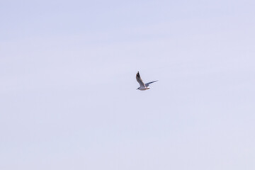 Rota do Sol e Lago Titicaca