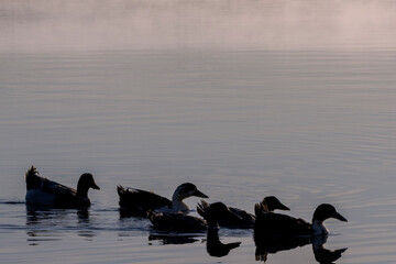 Rota do Sol e Lago Titicaca